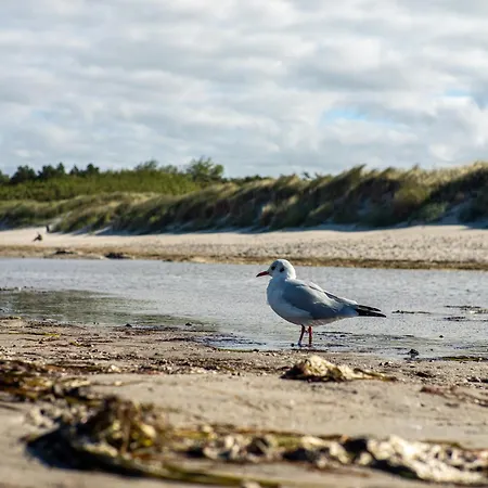 公寓 An Der Duene Dg-whg. D46.2 *